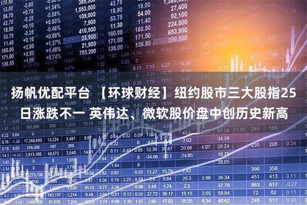 扬帆优配平台 【环球财经】纽约股市三大股指25日涨跌不一 英伟达、微软股价盘中创历史新高
