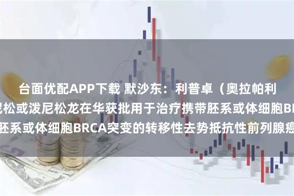 台面优配APP下载 默沙东：利普卓（奥拉帕利）联合阿比特龙和泼尼松或泼尼松龙在华获批用于治疗携带胚系或体细胞BRCA突变的转移性去势抵抗性前列腺癌成人患者