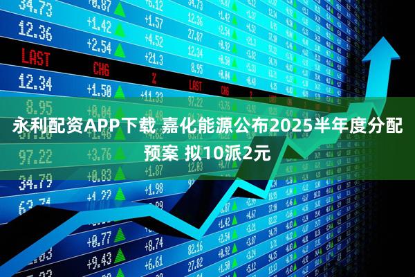 永利配资APP下载 嘉化能源公布2025半年度分配预案 拟10派2元