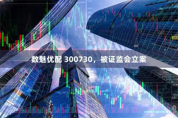 数魅优配 300730,被证监会立案
